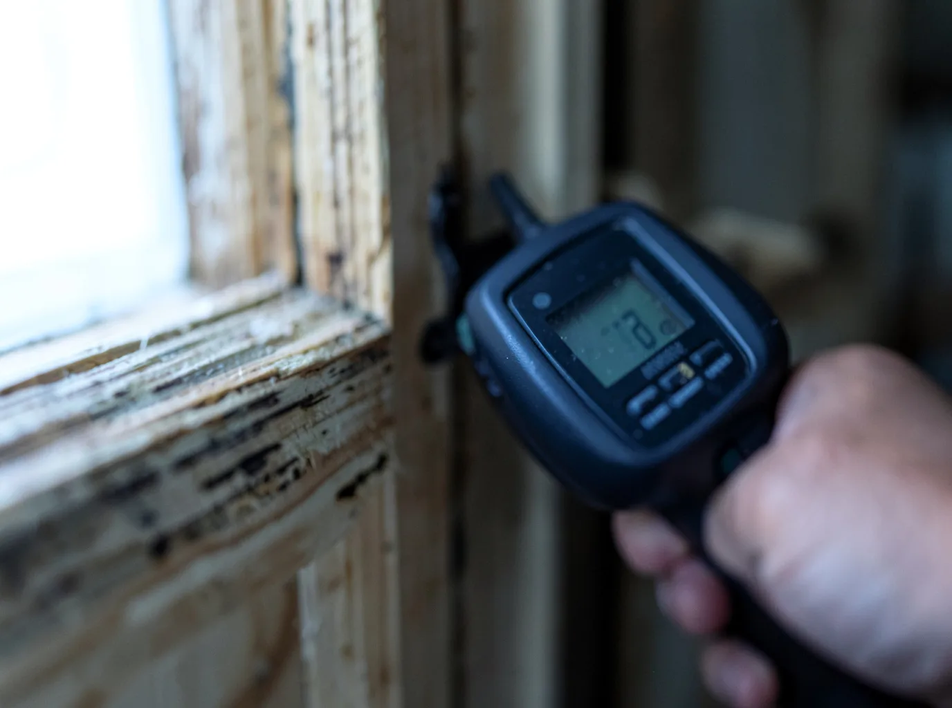 Moisture Inspection And Documentation in Deweyville, TX